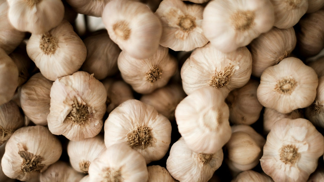 Unlocking Flavour: The Art of Stonegrinding Garlic